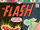 The Flash Vol 1 242.jpg