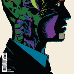 Absolute Martian Manhunter Vol 1 11