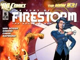 Fury of Firestorm: The Nuclear Men Vol 1 5