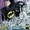 Batman: Dark Age Vol 1 1