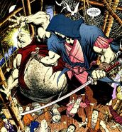 Hoshi Elseworlds Shogun of Steel