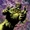 Composite Swamp Thing (Prime Earth)