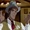 Bartholomew Lash (DCAU)