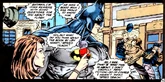 Bruce Wayne Elseworlds Barry Allen Story