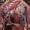 Sovereign Seven Vol 1 31