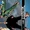 The Authority Vol. 2 (Collected)