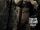Enchantress (DC Extended Universe)