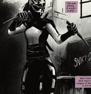 Shrike DC Graphic Novels for Young Adults Catwoman: Soulstealer