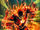 Flash 0069.jpg