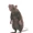 Admiral Whiskers (Doom Patrol TV Series)