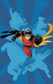 Robin Tim Drake 0021