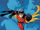 Robin Tim Drake 0021.jpg