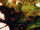 Poison Ivy Vol 1 10 Textless Di Meo Variant.jpg