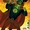 Alan Scott: The Green Lantern Vol 1 6