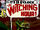 The Witching Hour Vol 1 5