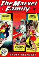 The Marvel Family Vol 1 73