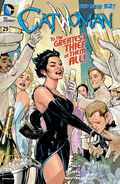 Catwoman Vol 4 29