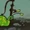 Ambush Slug (Farm League)