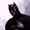 Bruce Wayne (The Dark Prince Charming)