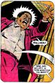 Amanda Waller 0013