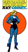 Dinah Drake (New Earth)
