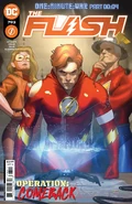 The Flash Vol 1 793