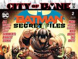Batman Secret Files Vol 1 2