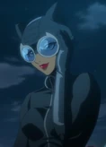 Selina Kyle DCUAOM Catwoman: Hunted