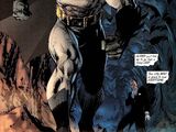 Bruce Wayne (Earth-31)
