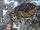 John Cloud Prime Earth 0001.JPG