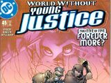Young Justice Vol 1 45