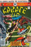 Karate Kid Vol 1 3