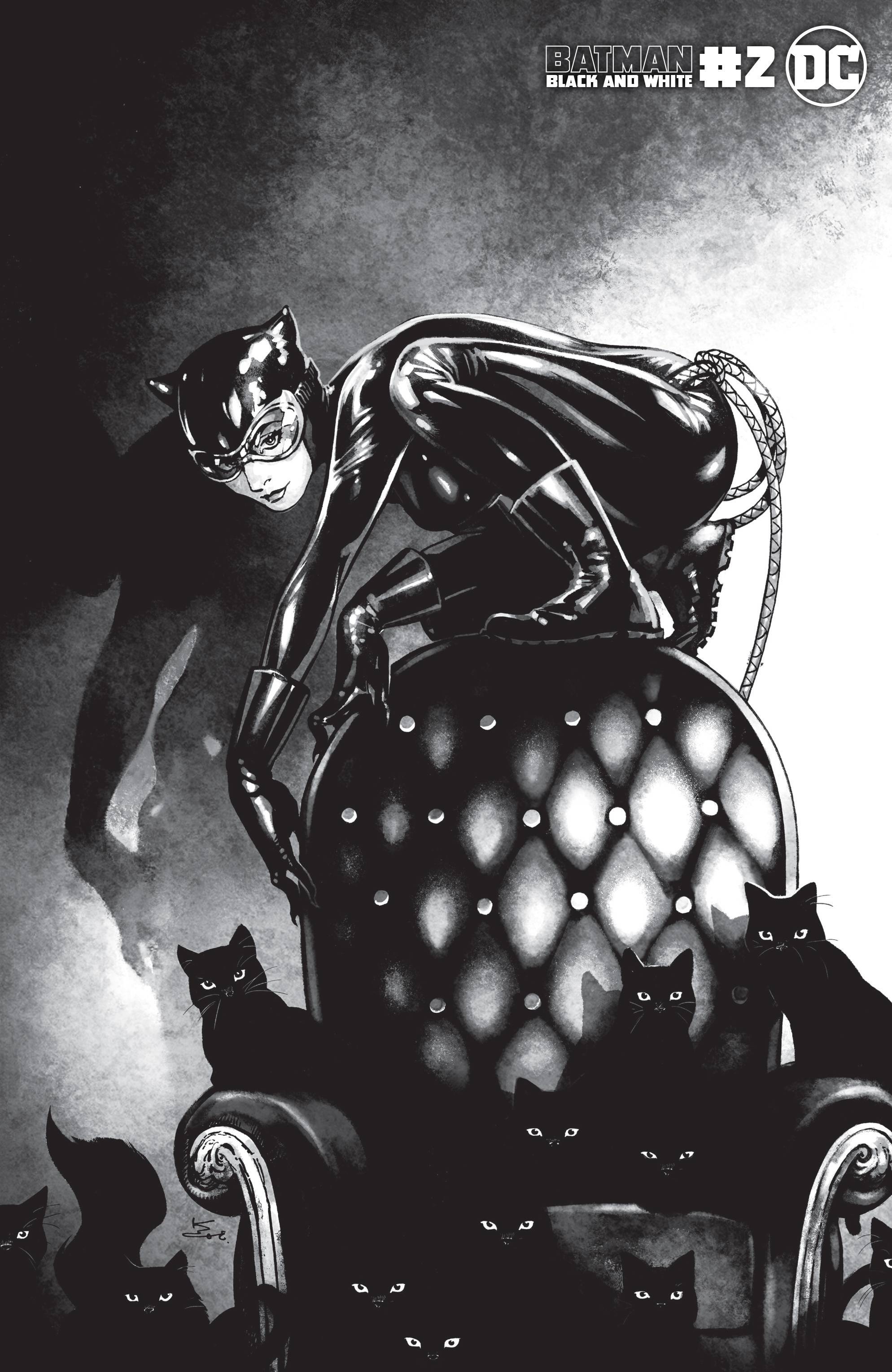 Batman: Black and White Vol 2 2 | DC Database | Fandom
