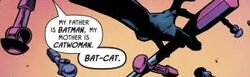 Catwoman Batman in Bethlehem 001.jpg