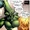 J'onn J'onzz (Act of God)