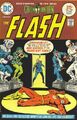 The Flash #234