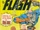 The Flash Vol 1 339