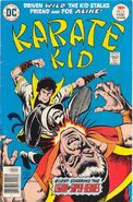 Karate Kid 6
