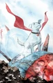 Krypto The Last Dog of Krypton Vol 1 1 Textless Variant.jpg (422 KB)