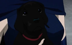 Titus the Dog DC Animated Movie Universe The Judas Contract