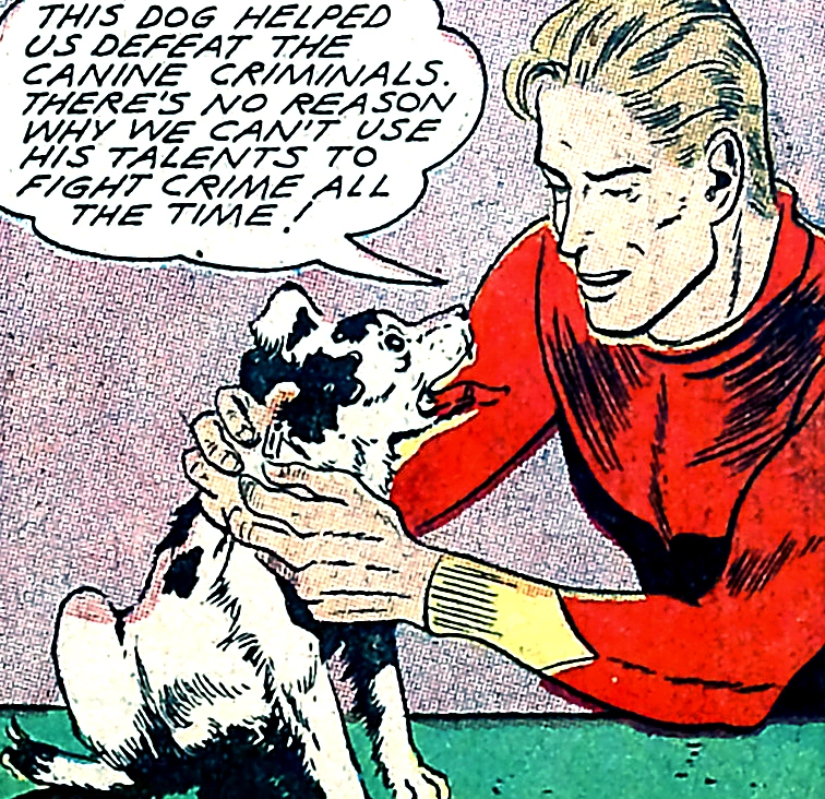 Slug (disambiguation) | DC Database | Fandom