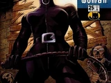 Catwoman Vol 3 25