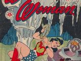 Wonder Woman Vol 1 13