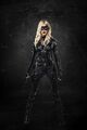 Dinah Laurel Lance Arrow 0002.jpg (46 KB) Dinah Laurel Lance Arrow 0002