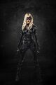 Dinah Laurel Lance Arrowverse Earth-1