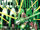 Green Lantern Corps Vol 2 37 Textless Variant.jpg