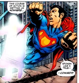 Ultraman Earth-3 Crime Society