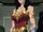 Diana of Themyscira DC Animated Movie Universe 003.jpg