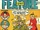 Feature Comics Vol 1 43