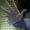 Crystal Frost (DC Animated Movie Universe)